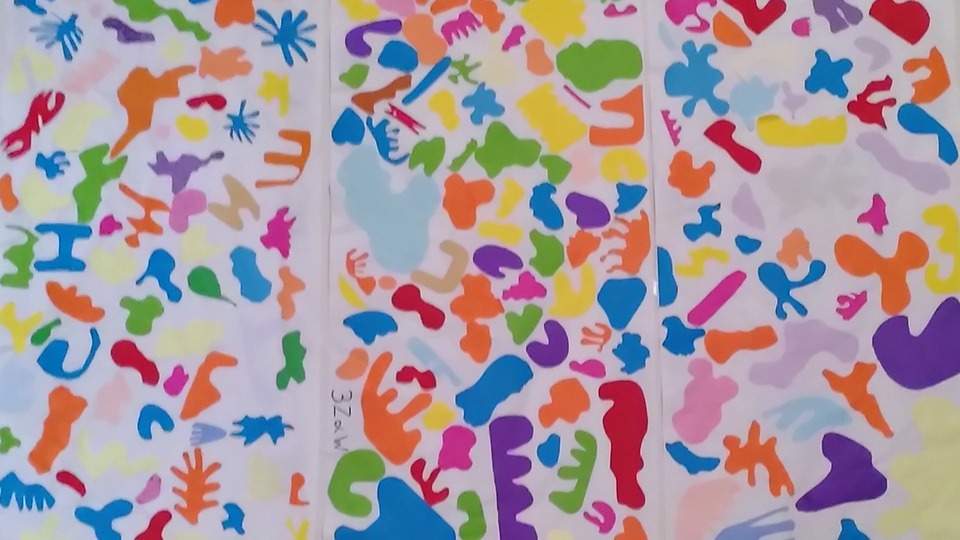 Lessen ART Henri Matisse: meester van licht en kleur.