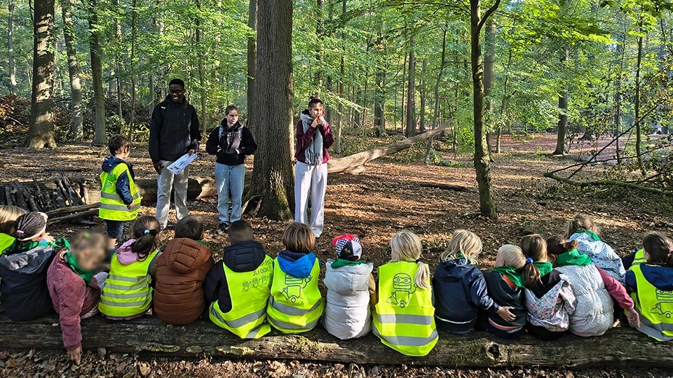 Begeleiden kleuters in het bos